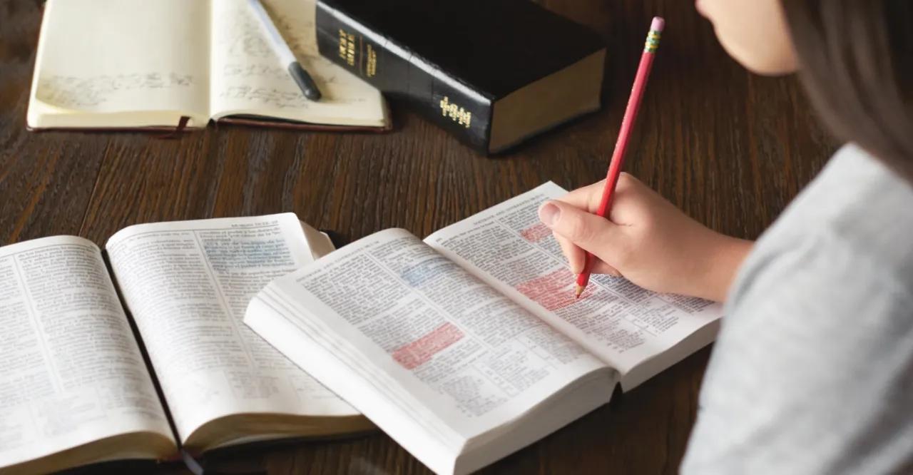 flet guia de estudio nustra santa biblia - Cómo estudiar la Biblia por temas