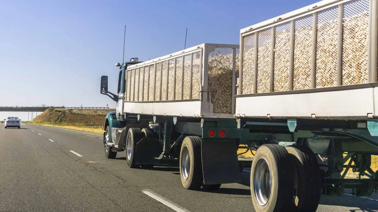 frutas y verduras envios fletes - Cómo puedo enviar fruta a otro país