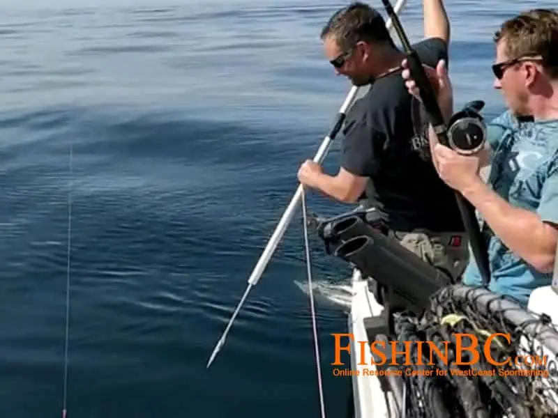 efectos crisis del fletan negro - Cómo se consigue el fletán en un barco