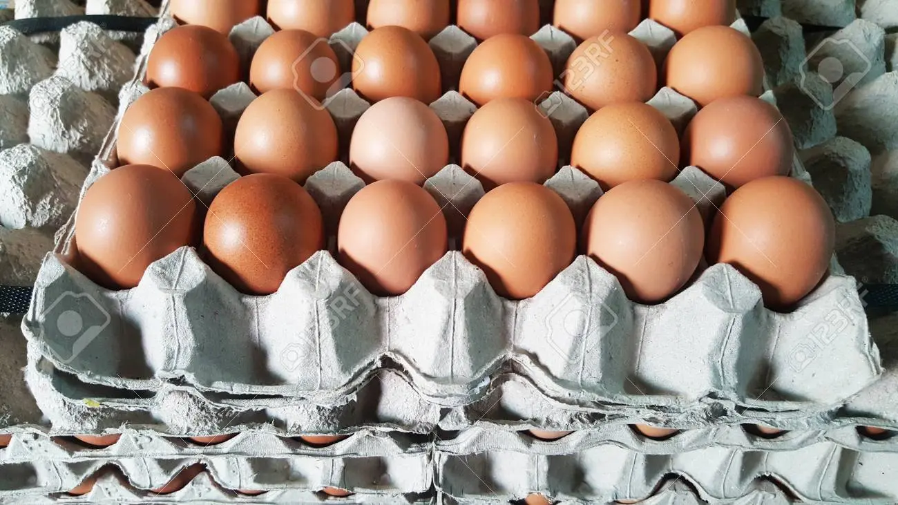 fletes huevos - Cómo se empaquetan los huevos para el transporte