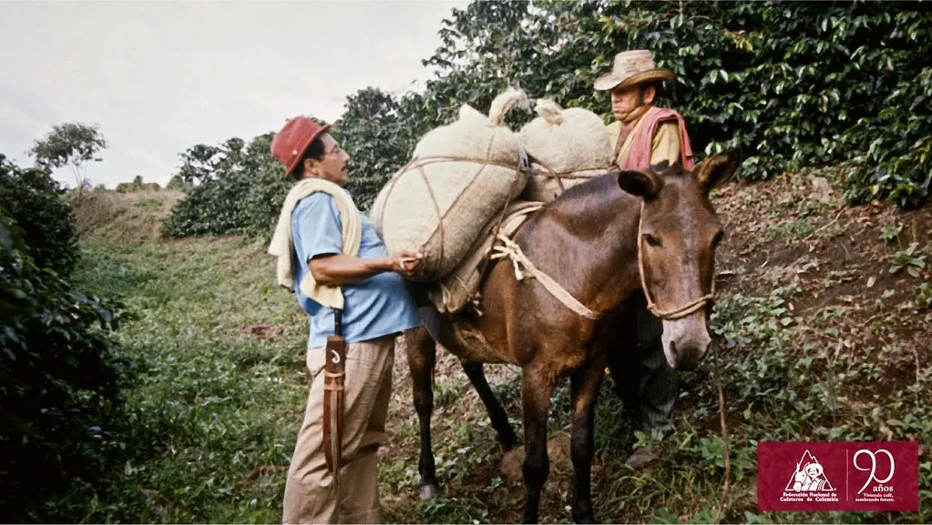flete en mula en colombia - Cuántas toneladas carga una mula en Colombia