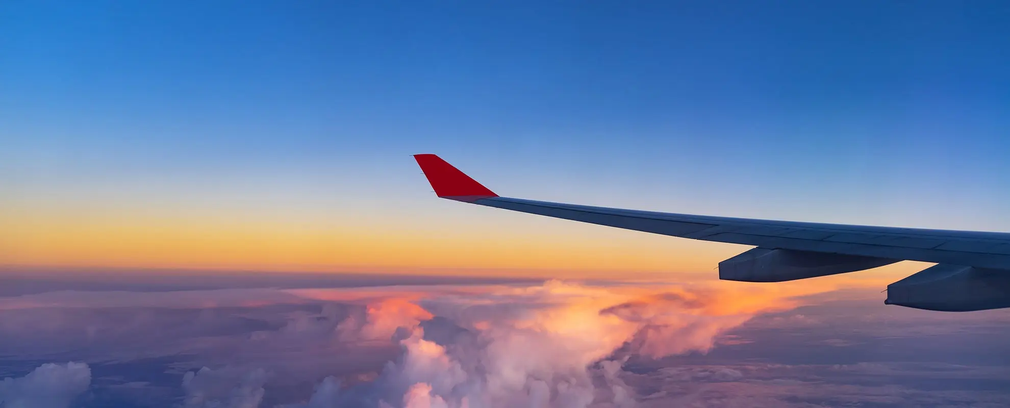 Flete aéreo de mascotas desde Arica a Santiago - Cuánto cuesta un pasaje de avion para perros flete aéreo de mascotas desde arica a santiago - Cuánto cuesta un pasaje de avion para perros
