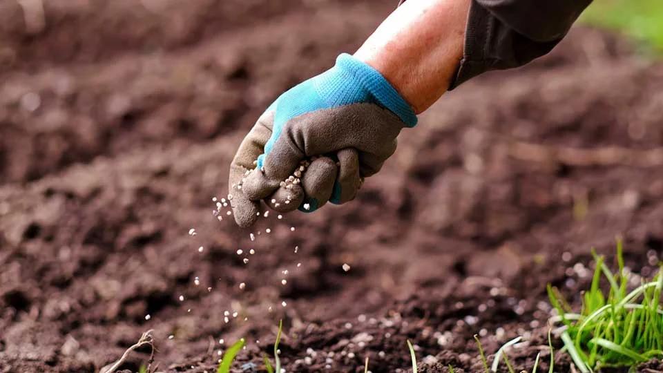 costo de fletes de distribucion de fertilizantes en argentina - Por qué bajo el precio de la urea en Colombia