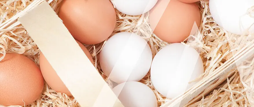 fletes huevos - Pueden enviar huevos de gallina