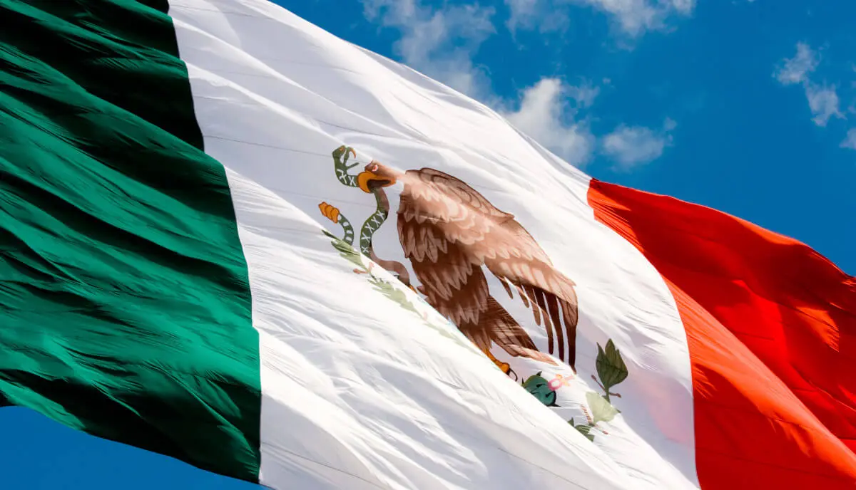 Flete de Sudáfrica a México - Pueden enviar zapatos a México flete sudáfrica a mexico - Pueden enviar zapatos a México