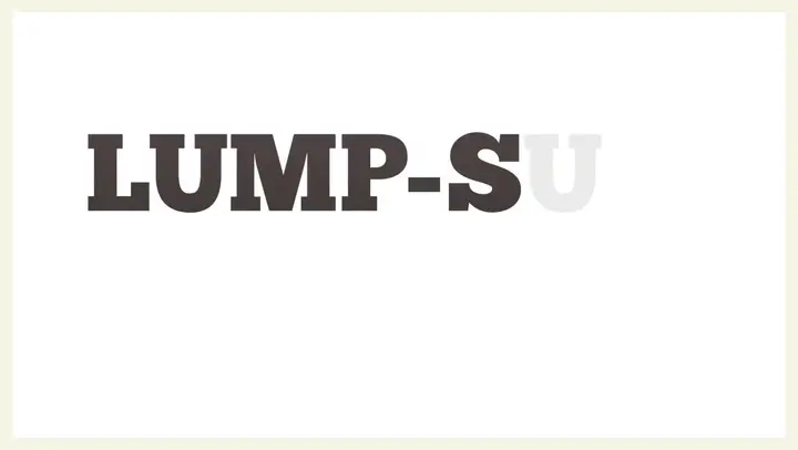 Qué es flete lump sum en comercio exterior - Qué es Lump Sum en comercio exterior que es flete lump sum - Qué es Lump Sum en comercio exterior