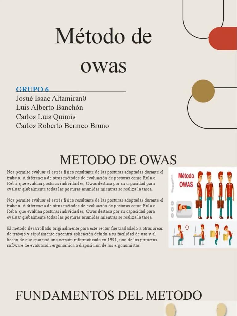 metodo owas aplicado al servicio de mudanza - Qué partes del cuerpo considera el método Owas en las combinaciones de posturas observadas