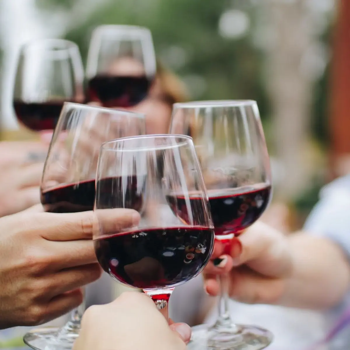 costo de fletes en parras coahuila para vino - Qué viñedos visitar en Parras de la Fuente