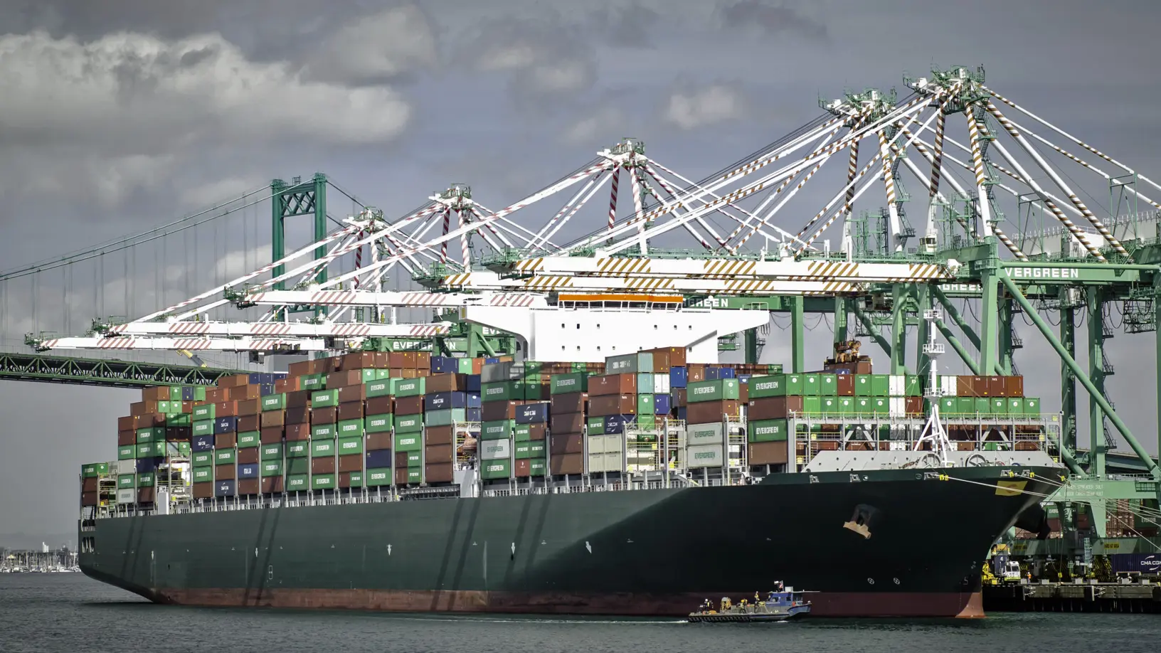 fletes maritimos cargadores - Quién es el cargador en un contrato de transporte marítimo