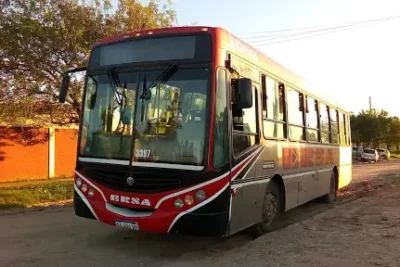 Trans Ferr Servicio De Transporte En Resistencia Chaco