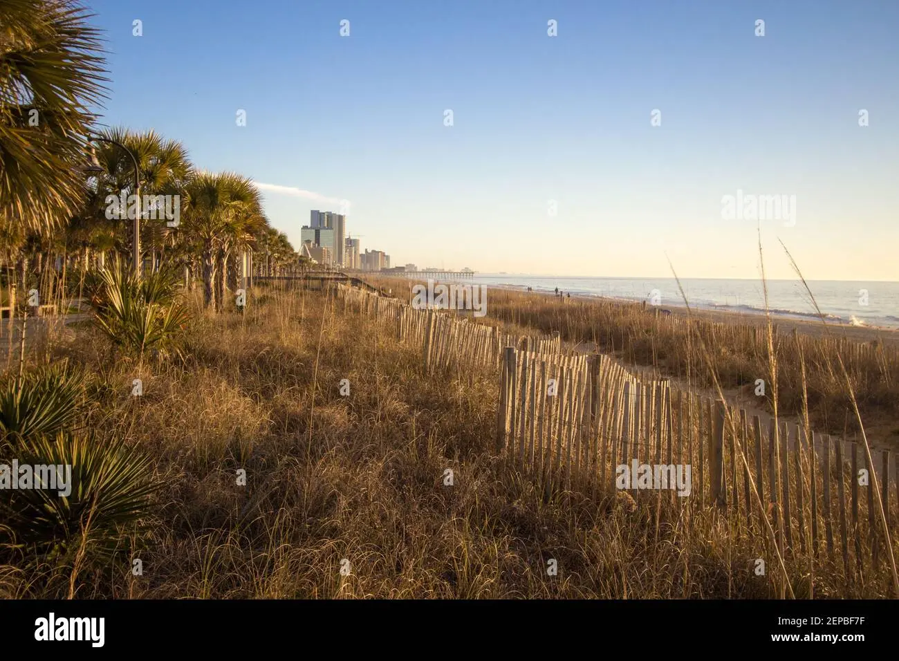 palmetto by fleto - What major city is Palmetto Florida near